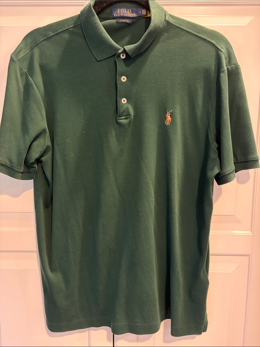 Polo by Ralph Lauren Forest Green Polo with Brown Pony Embroidery